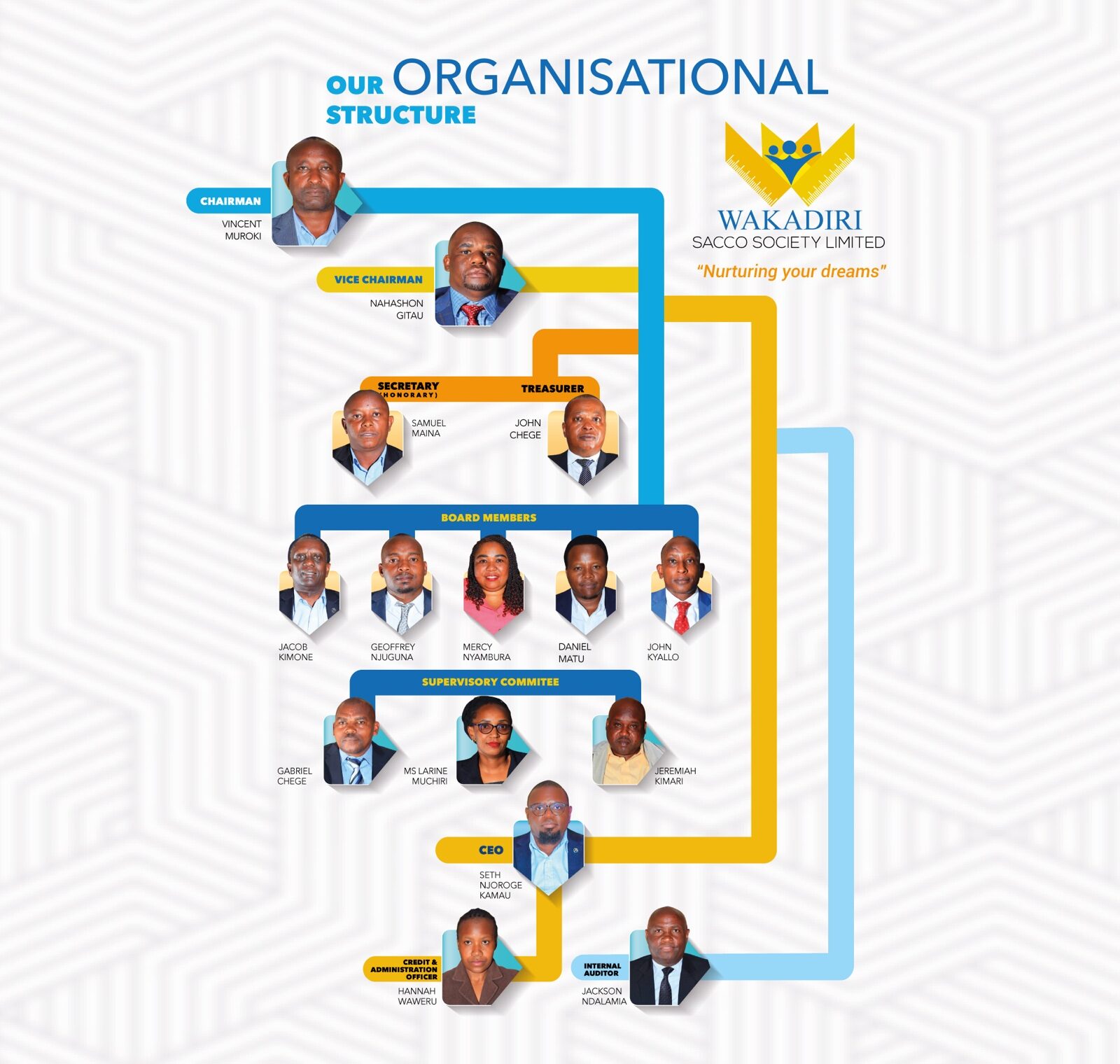 organ_structure_curr organ_structure_curr